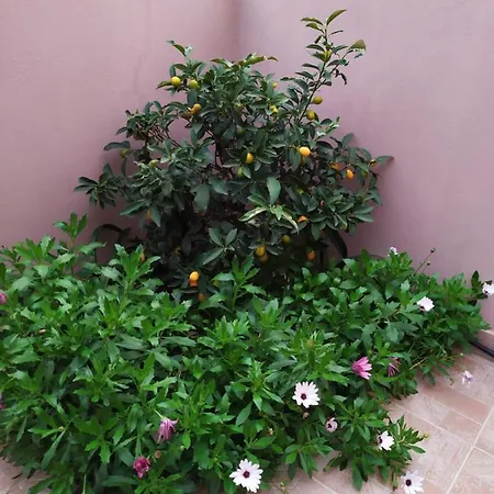 Holiday home Creta Arxontiko!